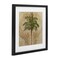 Stupell Industries Subdued Tropics Palm Framed Print Under Glass, design by Steve Hunziker